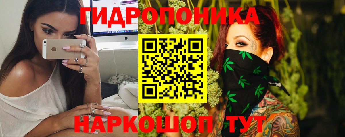Шишки марихуана марихуана  МАРИХУАНА White Widow  Вход с VPN  Подольск 